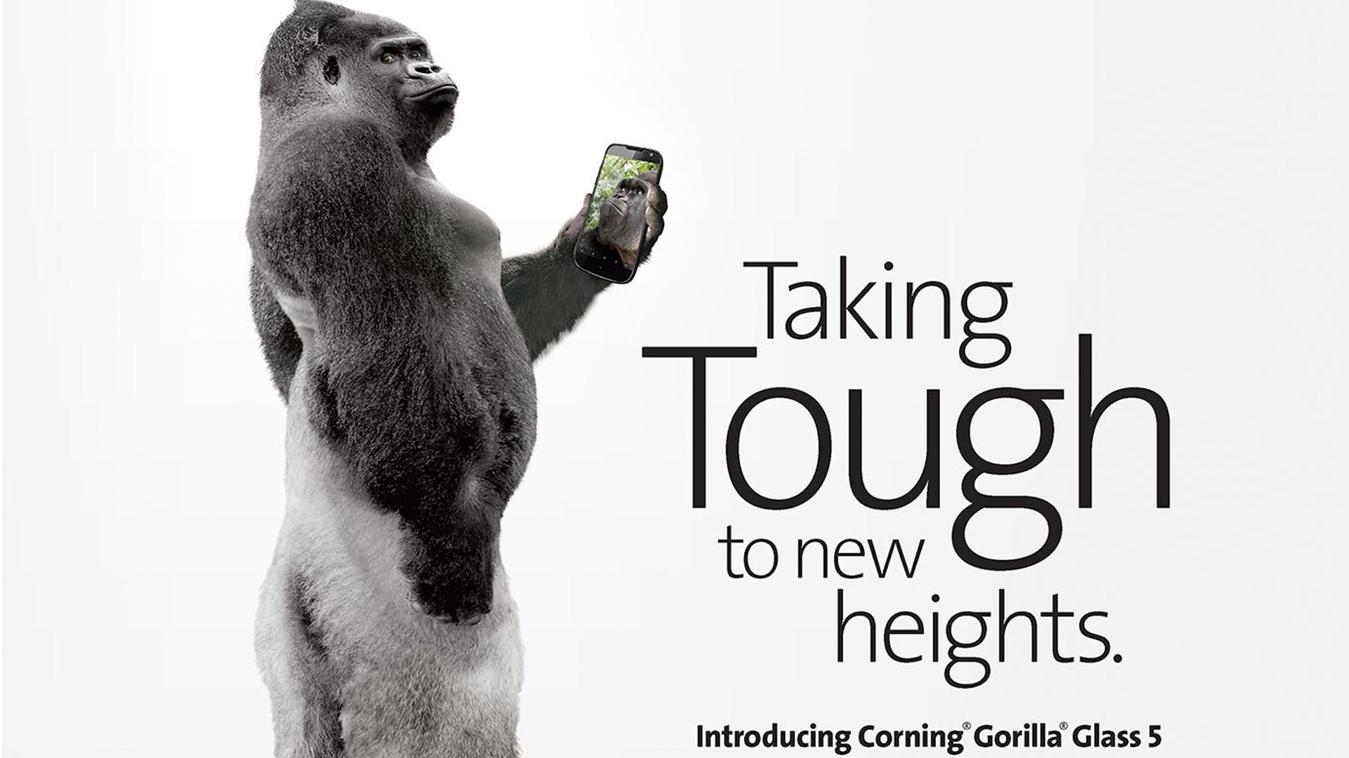 New level of protection with the Corning Gorilla Glass 5