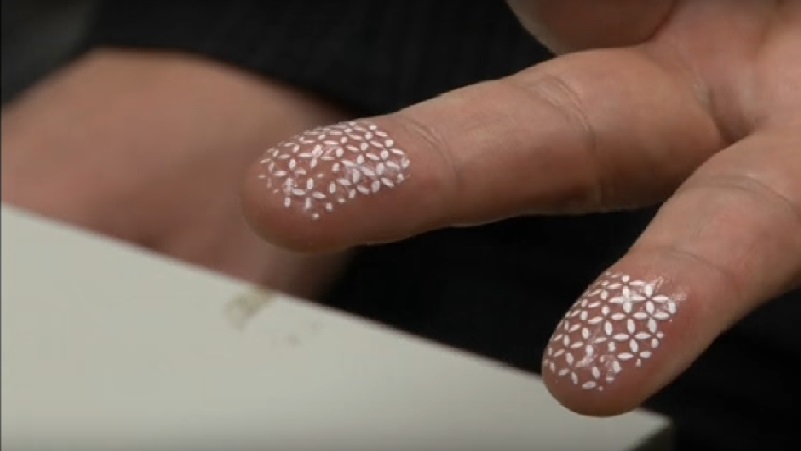 biometric jammer for fingerprint