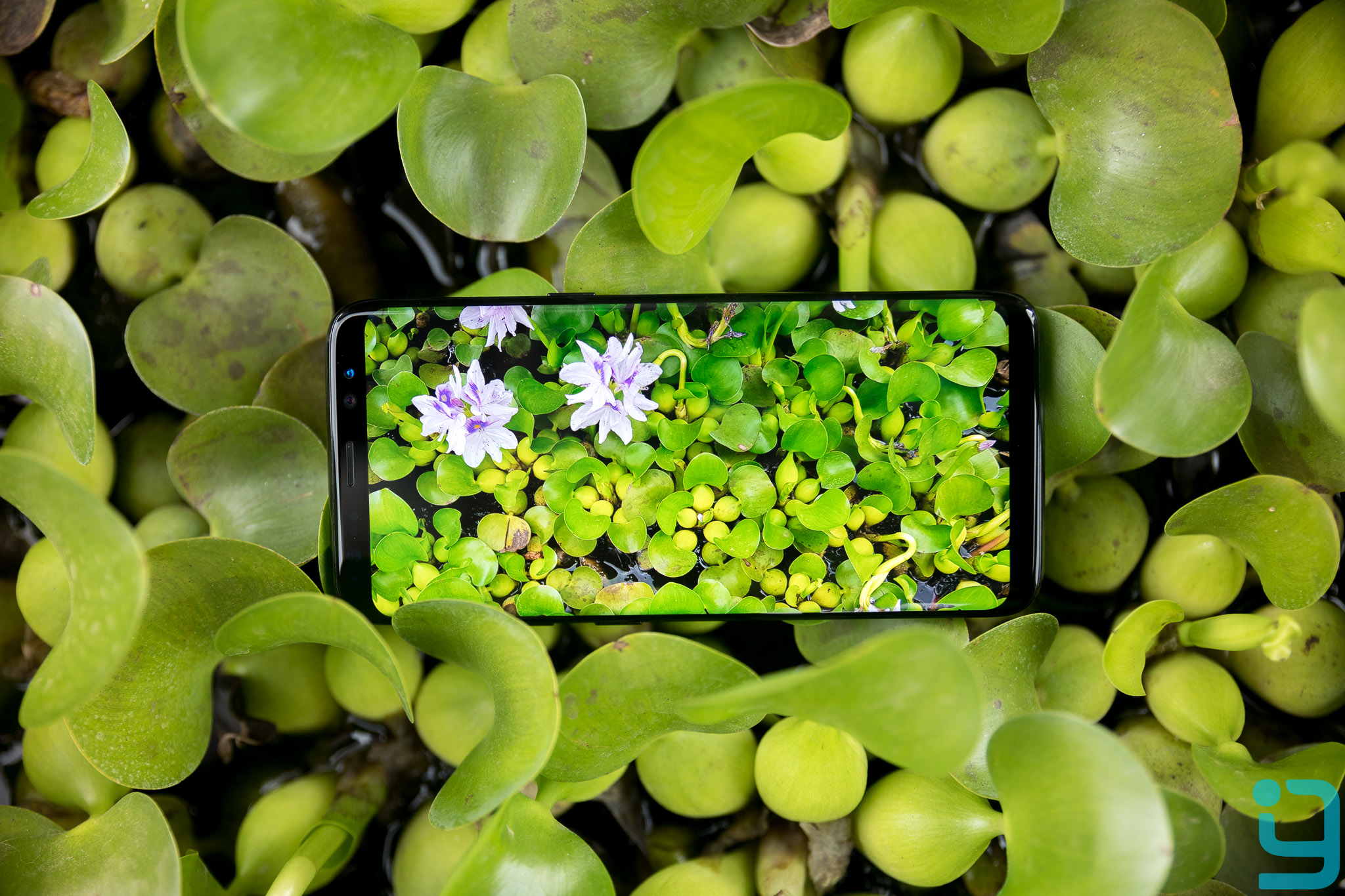 Samsung Galaxy S8 Display Review