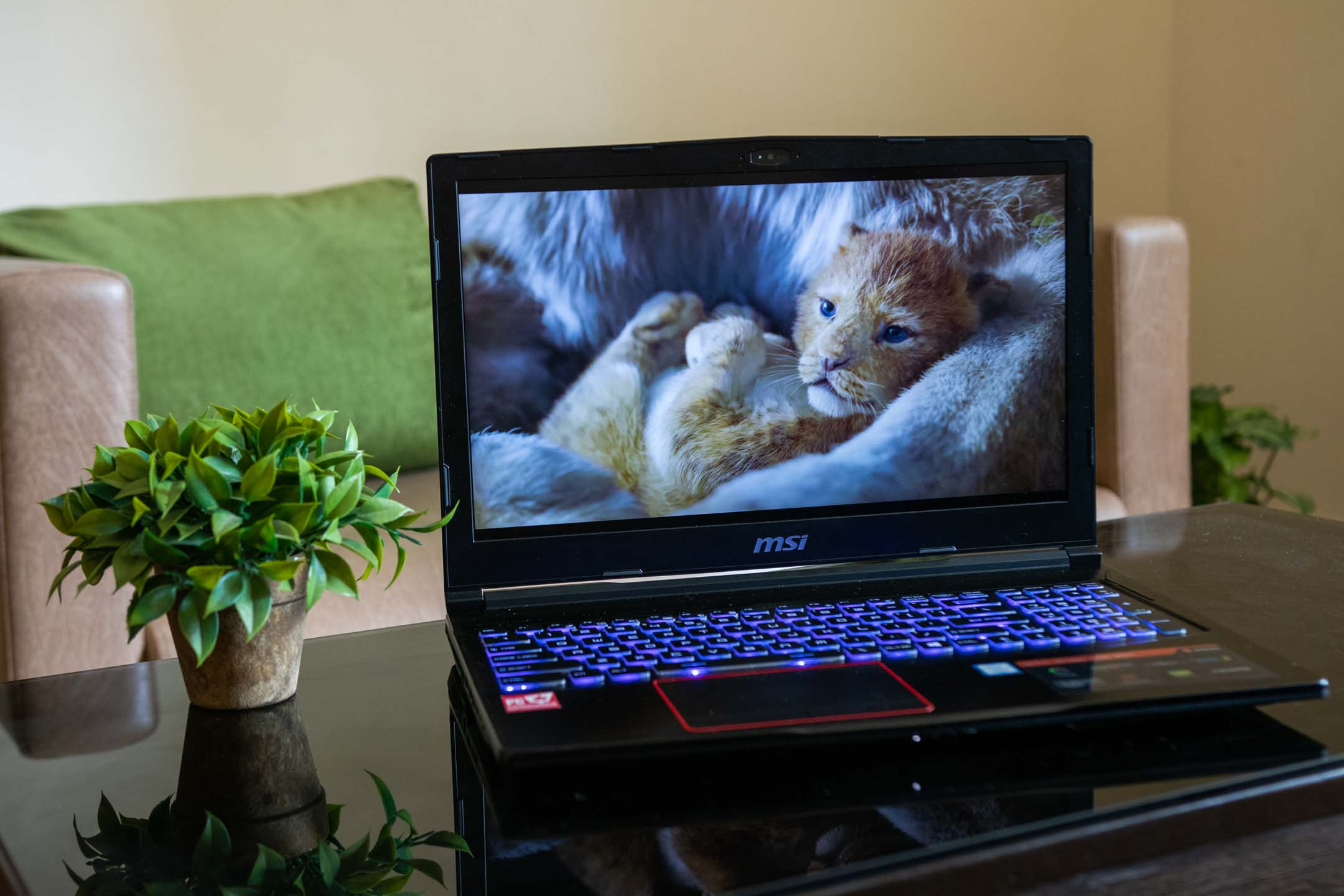 msi ge63 raider rgb 8rf display