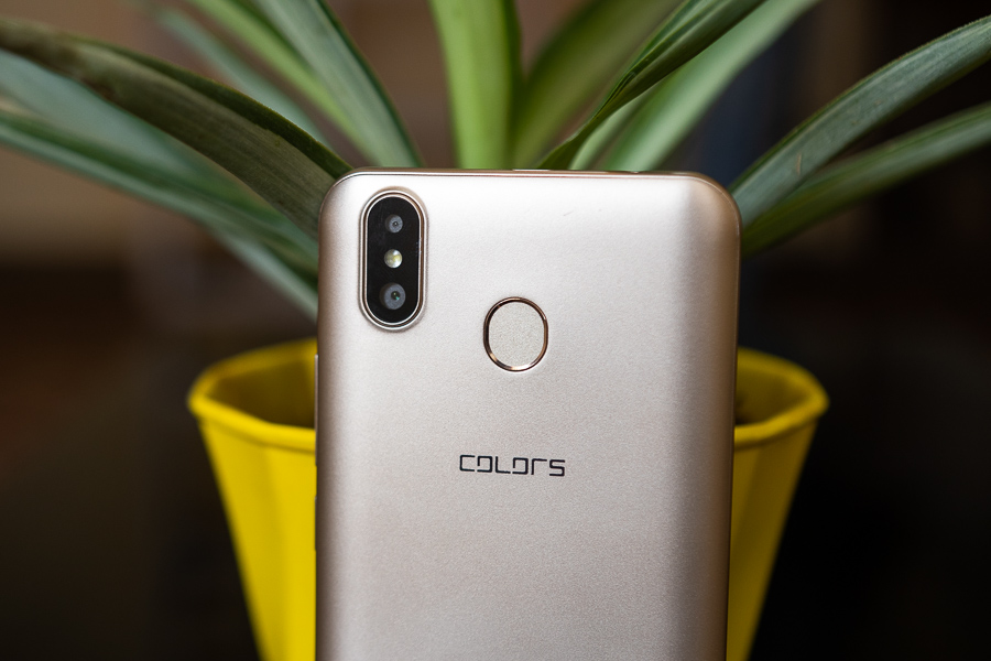 Colors Pride 5X back