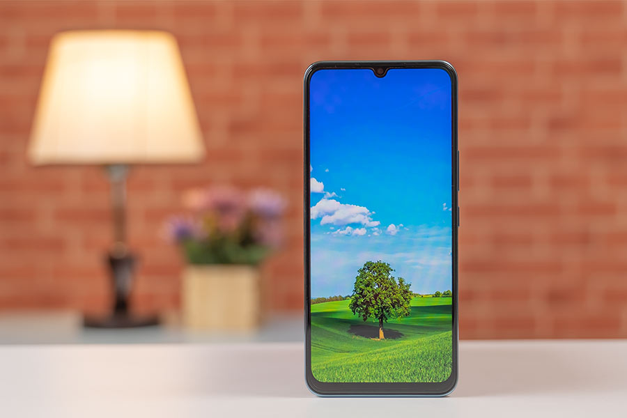 Vivo V20 SE - Display