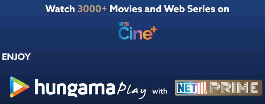 NetTV Prime Package Contents