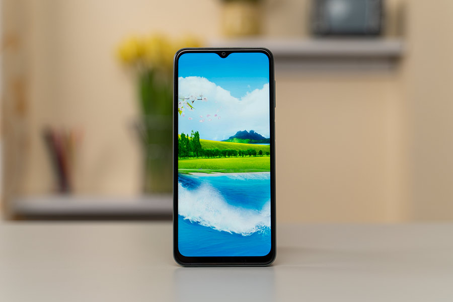 Samsung Galaxy M33 Display