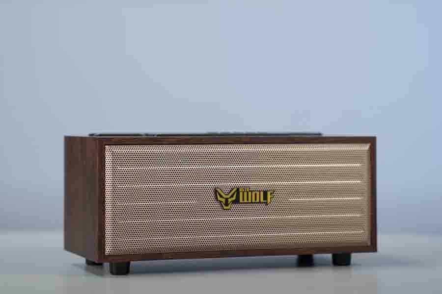 Asta Wolf Retro Speaker - Design