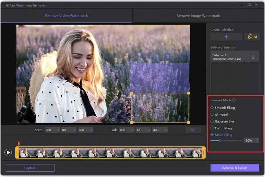 HitPaw Remove Modes
