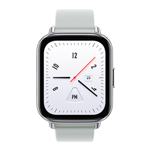 Dizo Watch 2 - Silver Grey