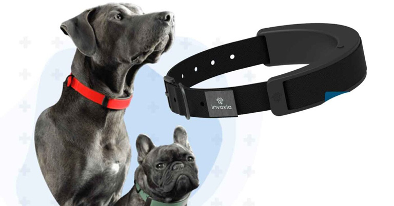 This AI smart collar will help you track your pets, monitor their health and much, much more
