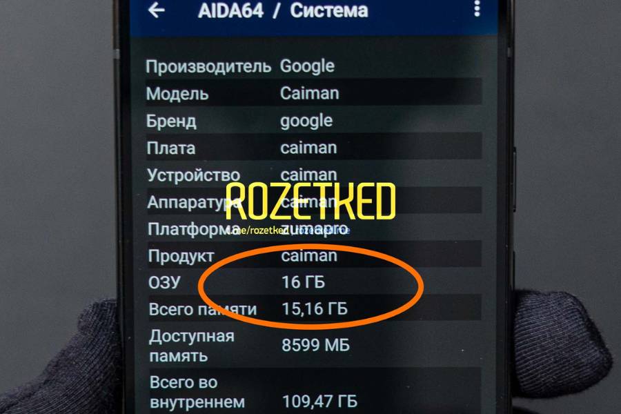 Google Pixel 9 Pro Performance Leak