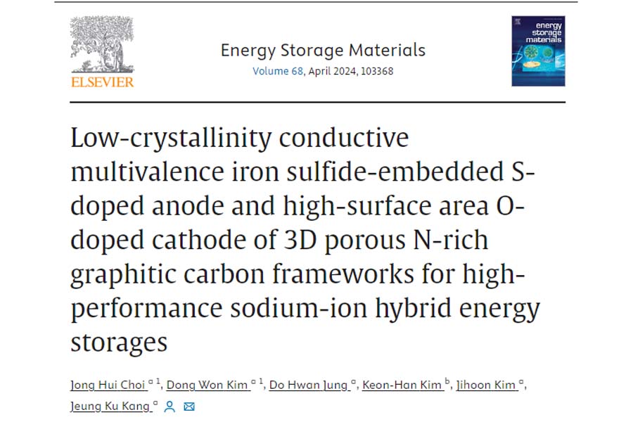 Hybrid Sodium ion Battery