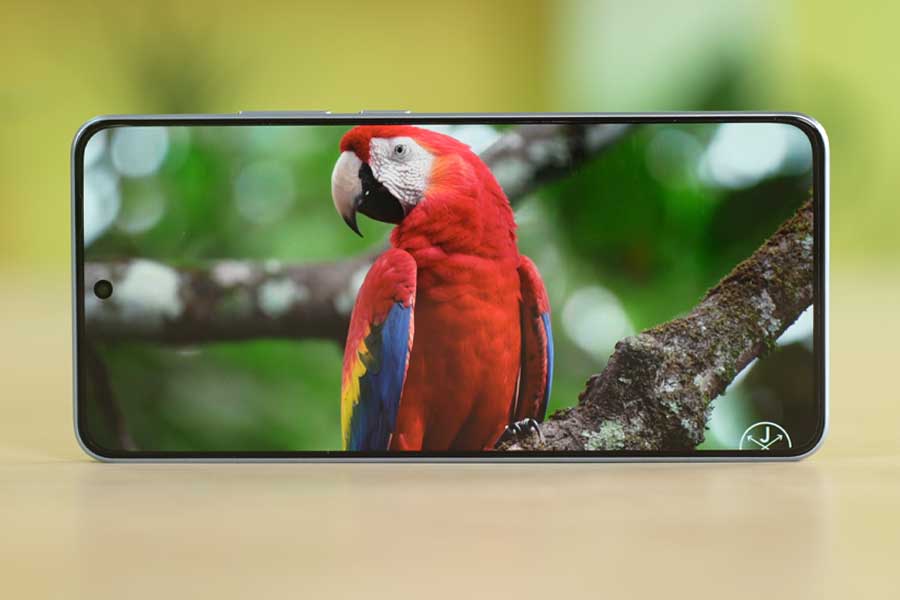 Oppo Reno 11F 5G Review Display