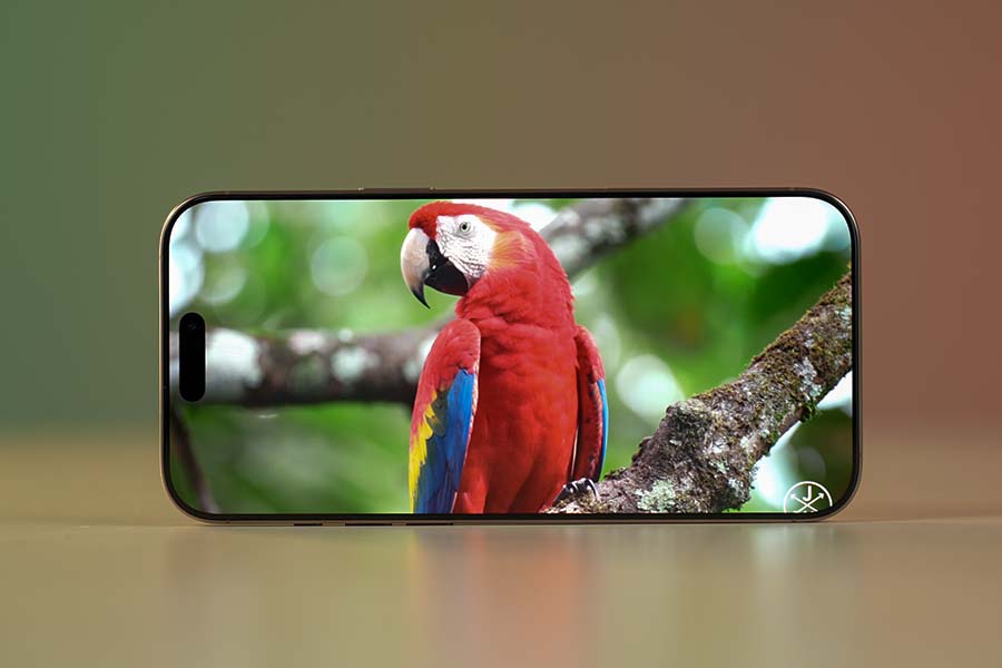 iPhone 16 Pro Max design