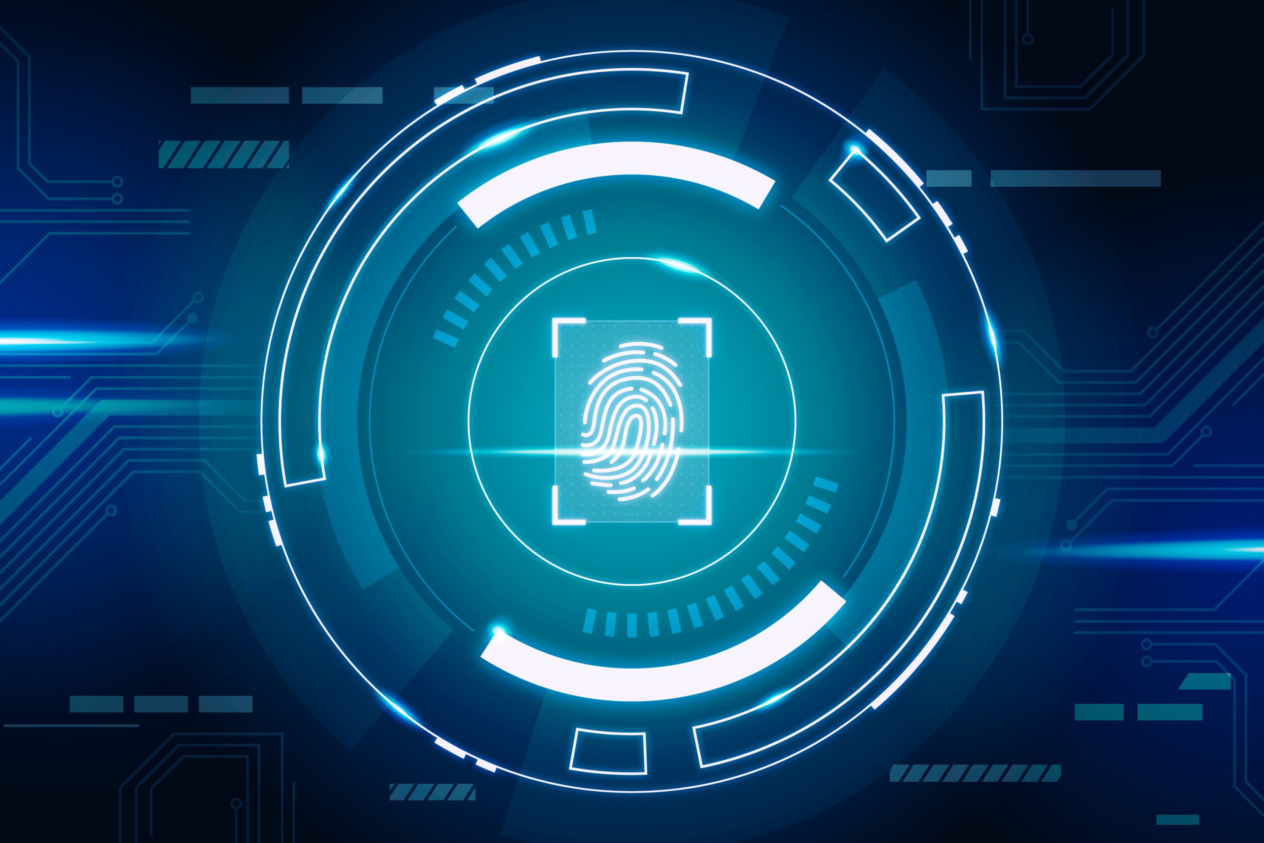 fingerprint for security