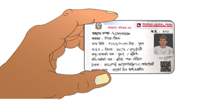 How to apply for a voter's ID online? Find here
