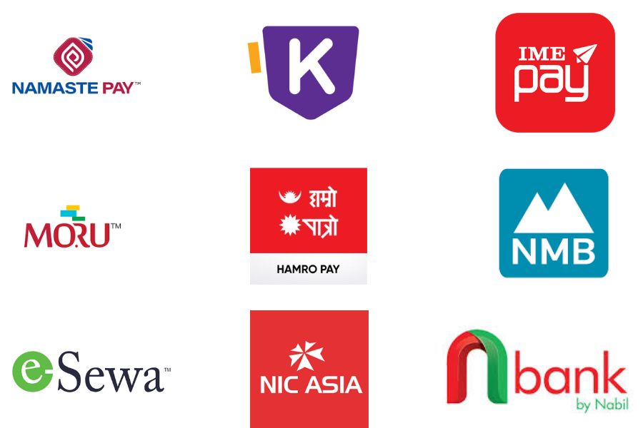 Payment Service Providers (PSPs)