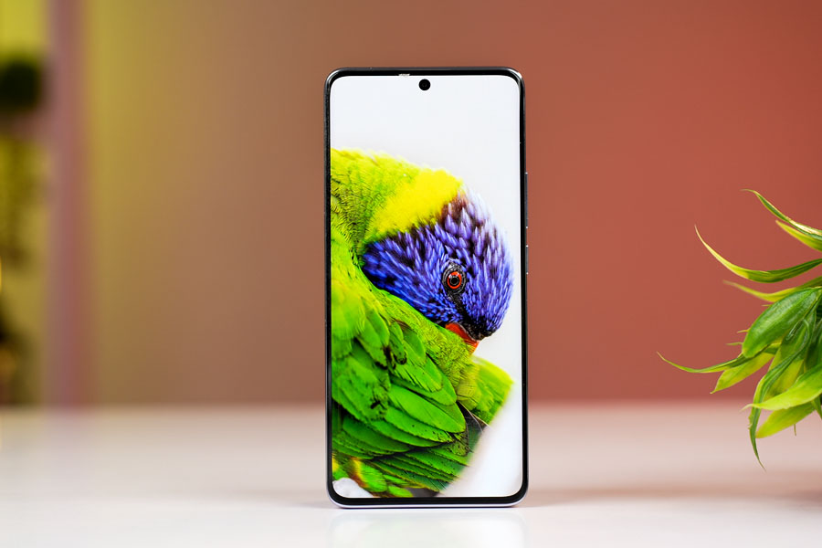 Redmi Note 14 Pro - Display