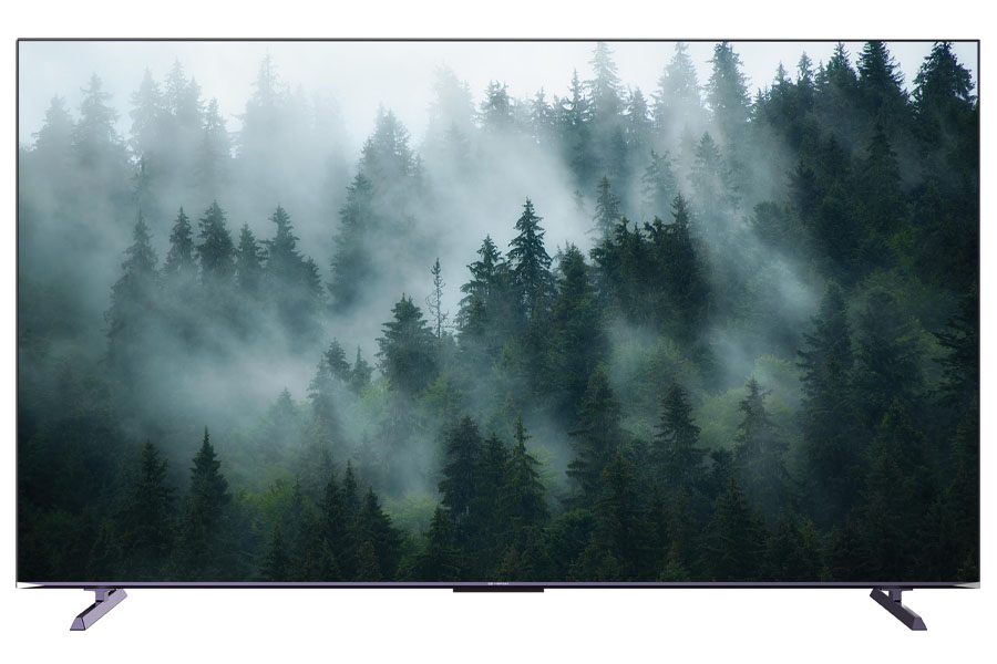 CG 100” Mega Screen TV 