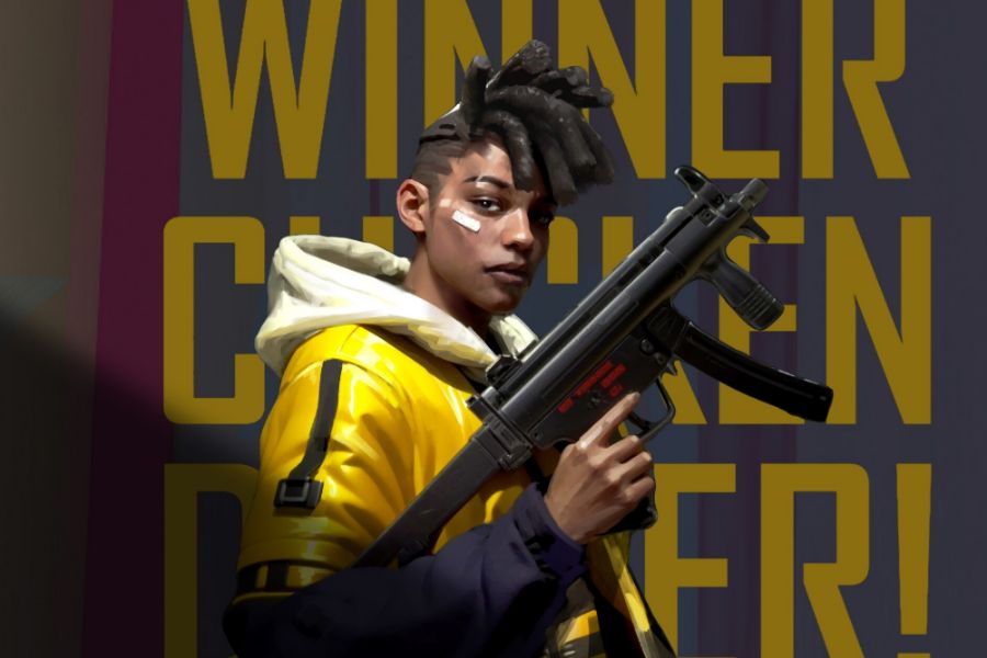 PUBG Blindspot similarities to PUBG