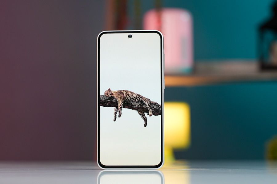 Samsung Galaxy A36 Display