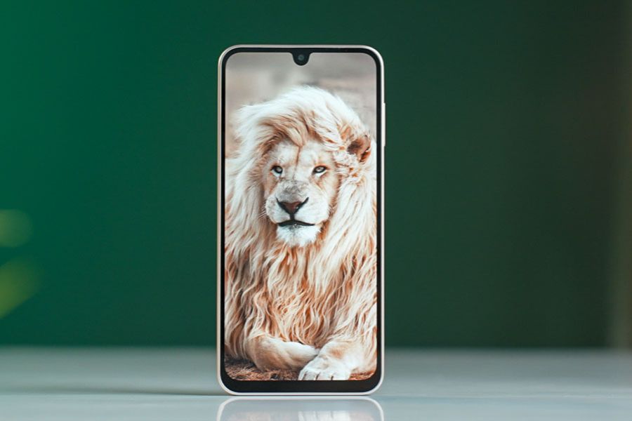 Samsung Galaxy M16 Display