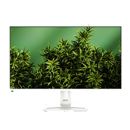 MSI Pro MP251W E2 Front