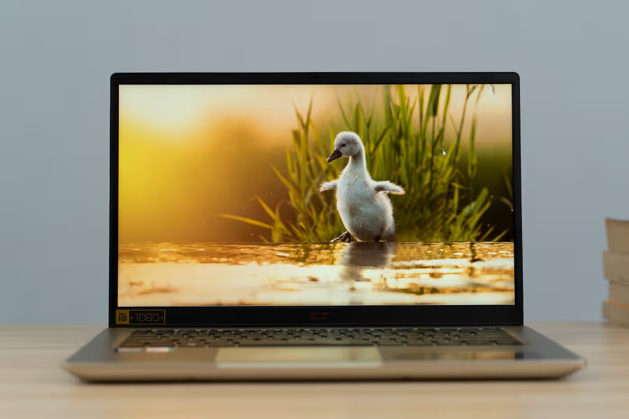 Acer-Swift-X-Display
