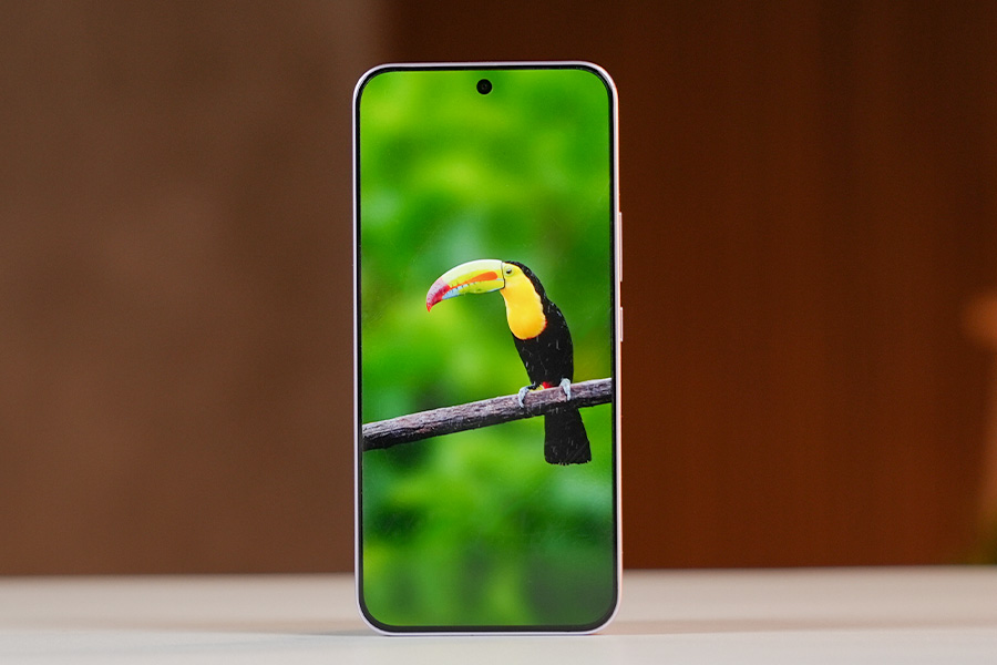 Vivo V70 FE Display Design