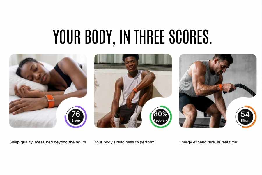 Noise REP Fitness