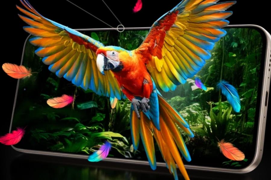 TCL P80 Ultra Display