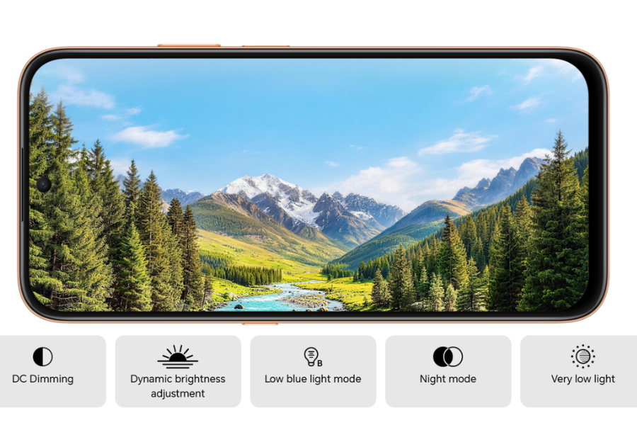 HONOR X8e 4G display